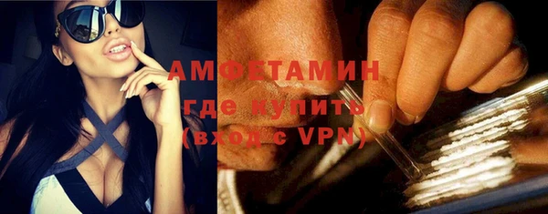 хмурый Аркадак