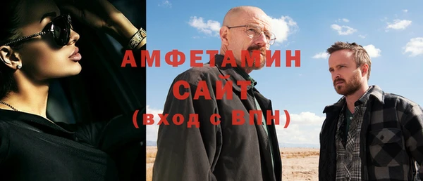 хмурый Аркадак