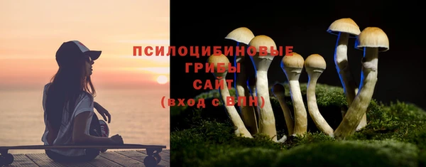 ПСИЛОЦИБИНОВЫЕ ГРИБЫ Армянск
