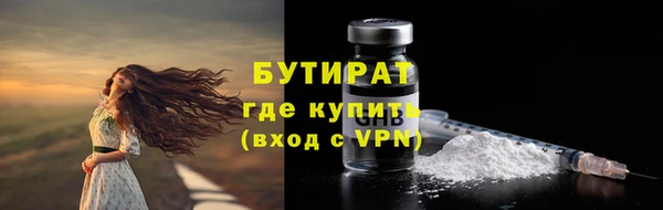 хмурый Аркадак
