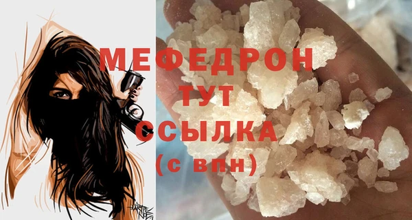 хмурый Аркадак
