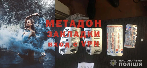 хмурый Аркадак