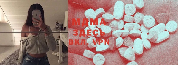 хмурый Аркадак
