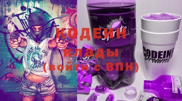 хмурый Аркадак