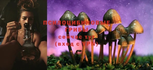MESCALINE Арсеньев