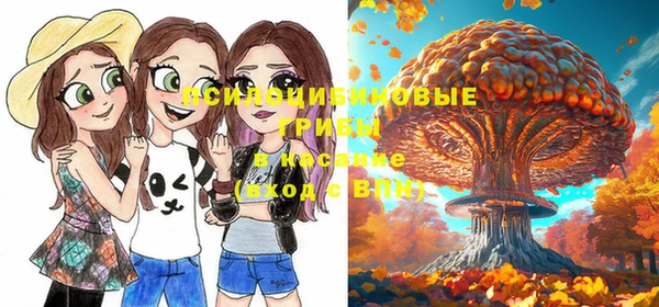 ПСИЛОЦИБИНОВЫЕ ГРИБЫ Армянск