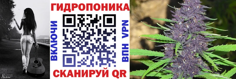 Каннабис SATIVA & INDICA  наркошоп  Новоаннинский 